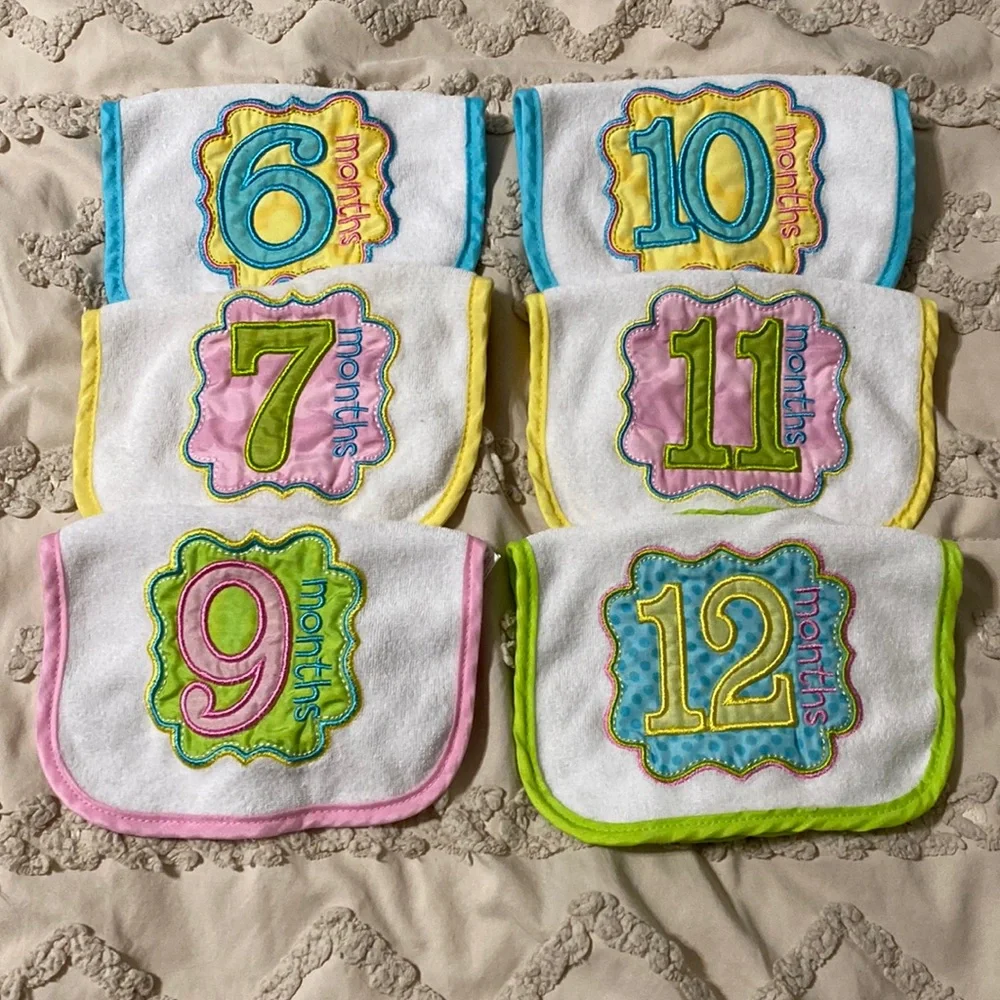 Colorful Monthly Milestone Baby Bib Set